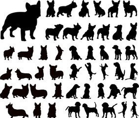 dogs of different breeds set, silhouette collection, vector