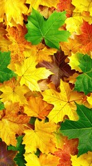 Autumn leaves, vibrant colors, nature's beauty, fall foliage, ground cover