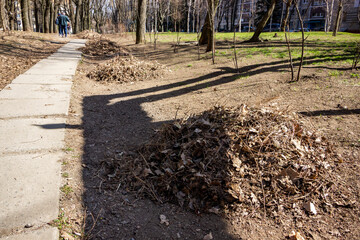 piles of garbage, old dried leaves, brown, footpath, bare trees, branches, park, early spring, landscape, yard, paths, background blue sky, sun, shadows, walk, nature, spring, city,