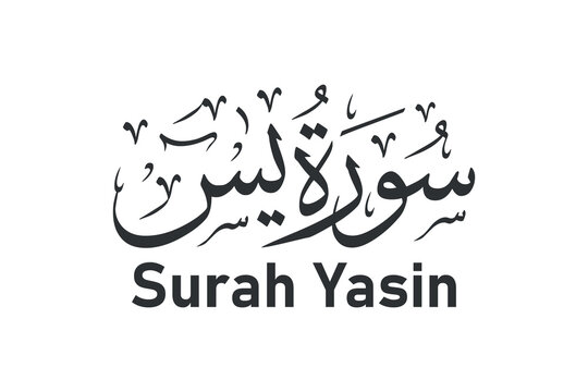 surah yasin arabic calligraphy quran surah name vector design