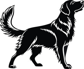 High-contrast outline of a black standing dog