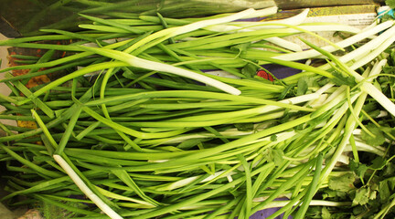 Green onions Onion feathers in the middle ground. Green Edible Background