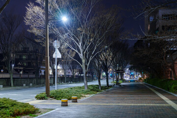 煌めく夜の街の灯り、静寂に包まれた夜の街角