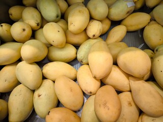 Sweet Ripe Mangoes Fresh fruit 