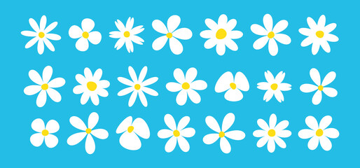 Cartoon flower daisy icon, spring chamomile set, cute baby camomile, white groovy character, fun plant, comic floral doodle on blue background. Funky blossom vector illustration