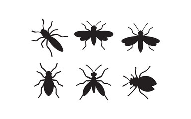 set of insects