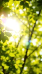 Vibrant green bokeh, sunlit spring leaves, summer glow, spring, June