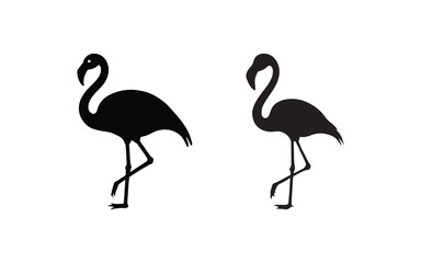 flamingo silhouette isolated on white