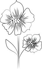 White flower illustration on black background with floral design