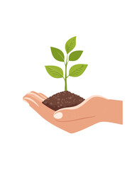 young plant in hand