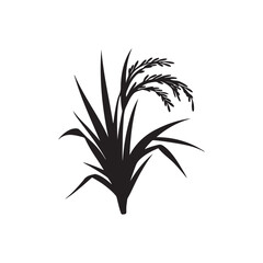 vector illustration of a plant