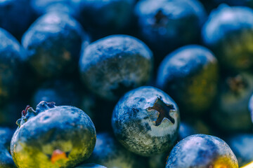 Blueberries close-up. Selected focus, macro photography. Food background.