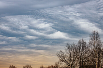 Striking undulatus asperatus clouds roll dramatically across the sky above silhouettes of leafless winter trees, creating a surreal and moody atmosphere. Includes copy space.
