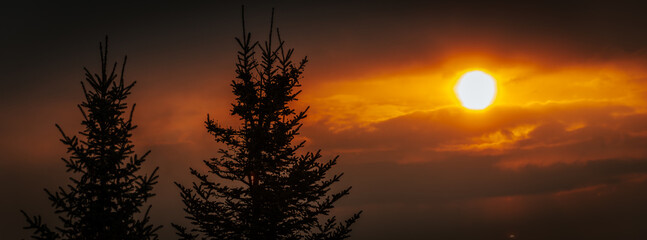 The bright setting sun glows intensely through orange and red clouds as dark pine trees stand...
