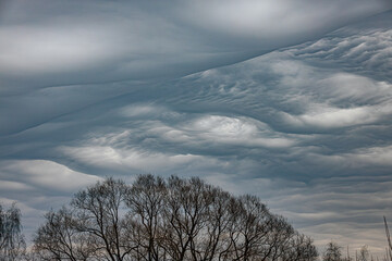 Striking undulatus asperatus clouds roll dramatically across the sky above silhouettes of leafless winter trees, creating a surreal and moody atmosphere. Includes copy space.