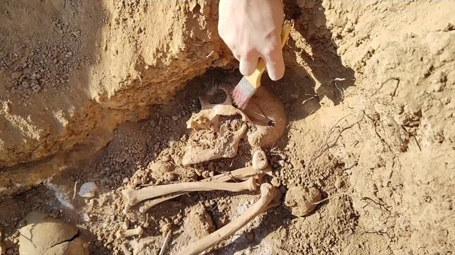  Exhumation