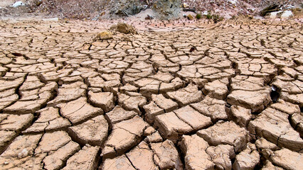 Cracked Earth's Resilience: A stark landscape reveals parched earth, showcasing intricate cracks and textures in the sun-baked soil, symbolizing drought and environmental challenges.