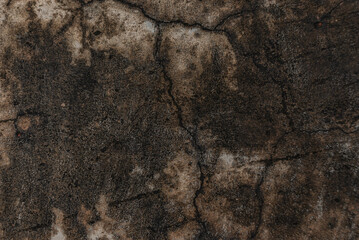 Photo of ground texture pattern