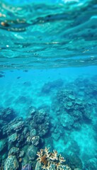 Fototapeta premium Azure water, coral reef visible beneath surface, waves, fish