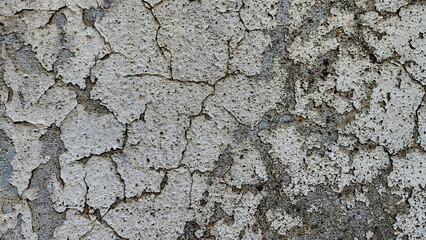 The texture of cracks formed due to aging on white exterior paint applied over reinforced concrete wall plaster.