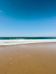 sand beach and blue sky with dolphins visible in the distance