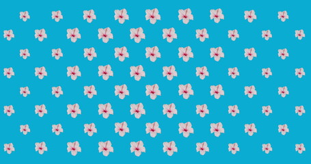 Digital image of multiple pink flowers moving against blue background