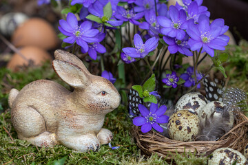 Osterdekoration mit Osterhasen, Osterest und Leberblümchen (Hepatica nobilis)	