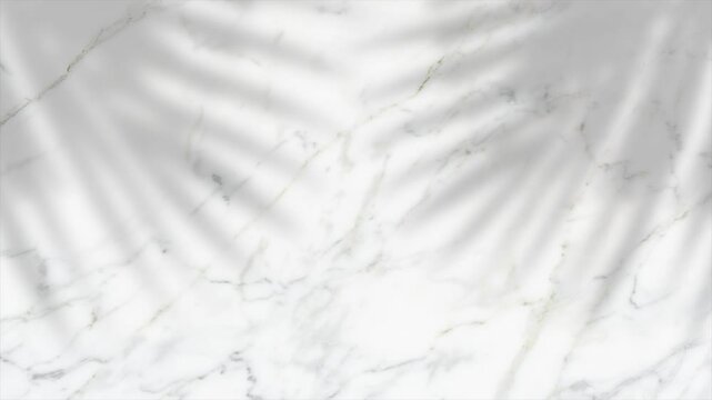 tropical leaves palm branch realistic loop animated on a marble background 4K