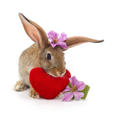 Rabbit with heart and clematis.