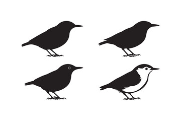 Fototapeta premium Bird Silhouette Vector Set Minimalist Standing Birds Clipart for Design