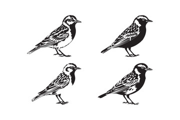 Bird Silhouette Vector Illustration Black and White Sparrow Clipart Minimalist Bird Art Design
