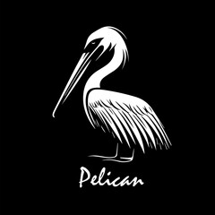 Pelican object on black background. hand drawing. Not AI, Vector illustration
