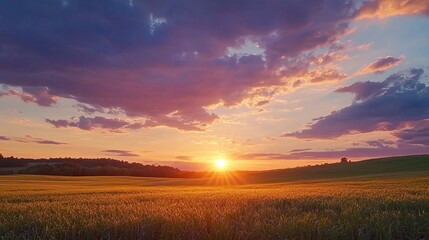 Fototapeta premium Stunning Sunset over Golden Wheat Field Peaceful Summer Landscape Beautiful Sky Vibrant Colors Dramatic Clouds Scenic Rural View Tranquil Nature 