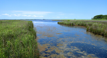Currituck Banks Reserve and Sound, Outer Banks - North Carolina