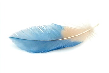 Obraz premium Isolated Blue Feather Close-up on White Background for Design and Decor