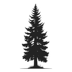 A bold, black silhouette of a tall evergreen cypress tree against a pure white background.