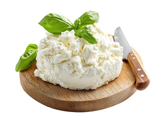 Isolated Ricotta Cheese on Wood