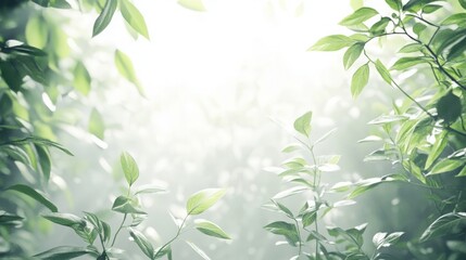 Serene Greenery in Soft Light