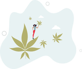 Using hemp as herbal treatment for mental or physical health .Medical marijuana as alternative medicine for human wellbeing and psychological balance.flat character life .