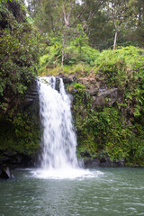 Obraz premium waterfall in the woods, vertical