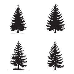 This image features four distinct, black silhouette pine trees against a white background.