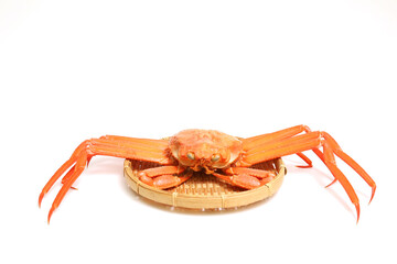 白背景のザルにのせた紅ズワイガニ