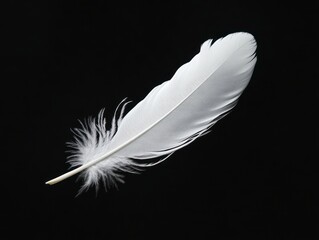 Obraz premium White Feather Floating Gently Against a Minimalist Black Background