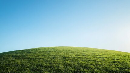 Fototapeta premium Serene landscape of a gently rolling green hill under a clear blue sky.