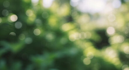 The Blurred Green Backdrop of Natural Light and Plant Foliage