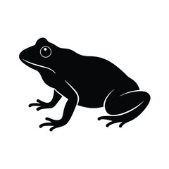Bullfrog vector silhouette