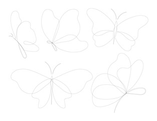 Fototapeta premium Hand draw butterfly. Black linear butterfly without background. Vector illustration. EPS 10.