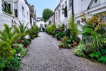Cobblestone lane in central London with mews houses and lush foliage