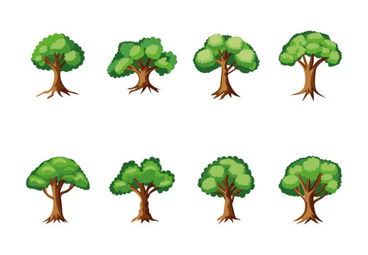 Green Brown Elm Leaves Nature Forest Tree Illustration