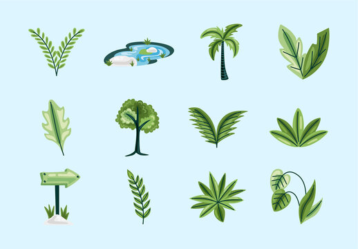 Green Jungle Nature Leaf Palm Tropical Icons Set